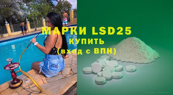 гашик Нефтекумск