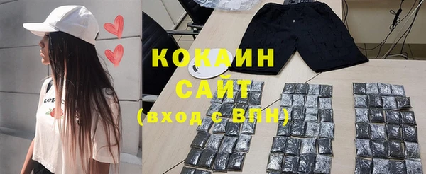 МДПВ Нефтегорск