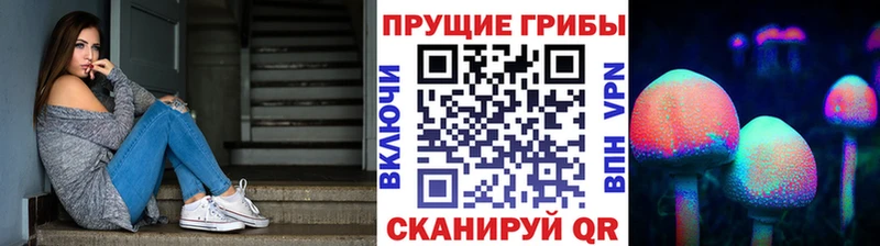 дарнет шоп Симферополь Галлюциногенные грибы Psilocybe